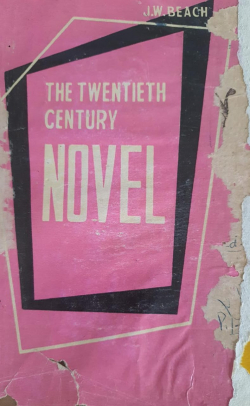The Twentieth Century Novel