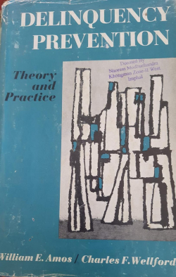 Delinquency Prevention : Theory and Practice