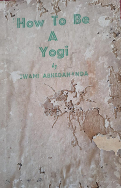 How to be a Yogi