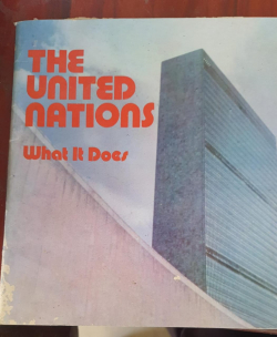 The United Nations what it does