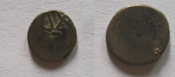 coin "shri" mark No 1