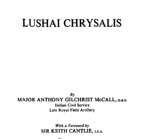 Lushai Chrysalis