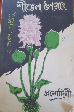 Shingel Leirang