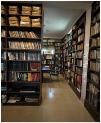 arclibrary-About-Us2